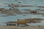 Vorschaubild Holzbank am Bodenseeufer_2020_08_05--11-54-08.jpg 