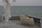 Vorschaubild Vereister Baum und Sitzbaenke am Bodensee_2015_02_07--09-31-34.jpg 