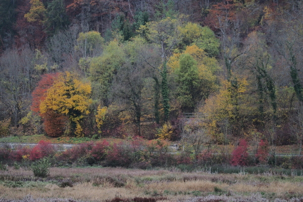 Skaliertes Bild 2015_10_31--16-20-02.jpg 