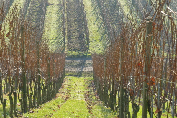 Skaliertes Bild 2016_12_10--15-10-37.jpg 