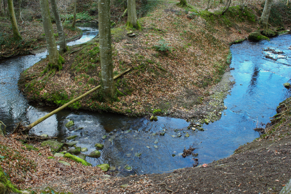 Skaliertes Bild Bach im Wald_2009_03_30--14-14-52.jpg 