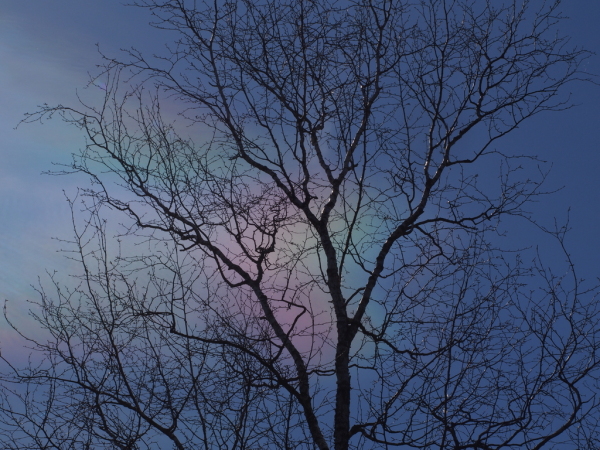 Skaliertes Bild Bunt aufleuchtende Wolken_2019_03_16--15-58-54.jpg 
