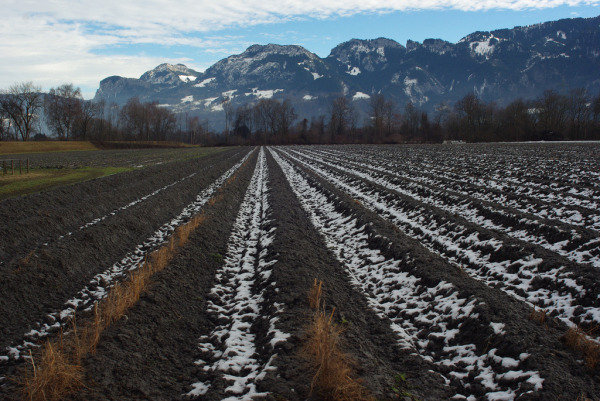 Skaliertes Bild Felder mit erstem Schnee_2013_12_15--13-34-38.jpg 