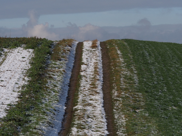 Skaliertes Bild Feldweg bei Guetighausen_2019_01_18--13-12-15.jpg 