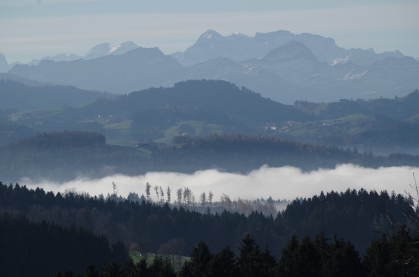 Skaliertes Bild Herbstlandschaft mit Nebel, Aussicht vom Tannenberg_2012_11_17--11-12-37.jpg 