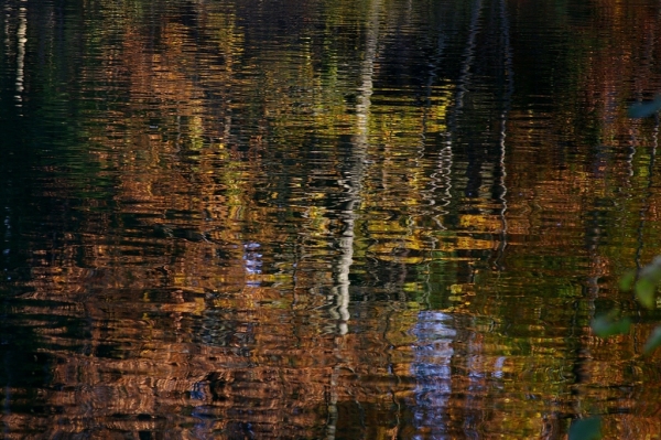 Skaliertes Bild Herbstliche Reflexionen im Guebsensee_2006_11_04--14-01-09.jpg 