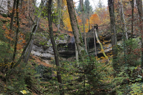 Skaliertes Bild Herbstwald bei Osterfingen_2015_10_31--16-08-41.jpg 