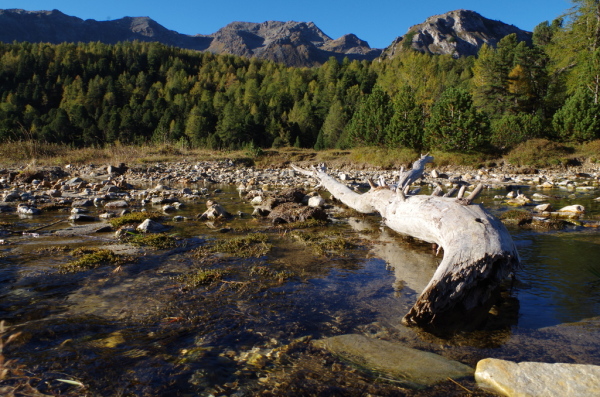 Skaliertes Bild Landschaft am Lukmanier_2014_09_27--08-59-25.jpg 