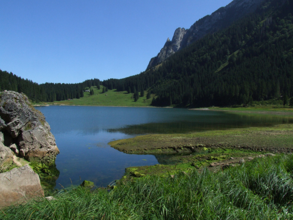 Skaliertes Bild Landschaft am Voralpsee_2009_08_30--12-33-22.jpg 