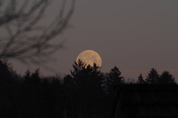 Skaliertes Bild Monduntergang_2019_03_21--07-33-15.jpg 