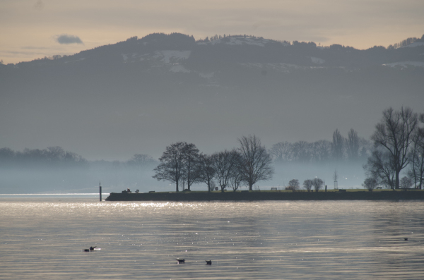 Skaliertes Bild Morgenstimmung am Bodensee_2012_12_25--10-52-45.jpg 