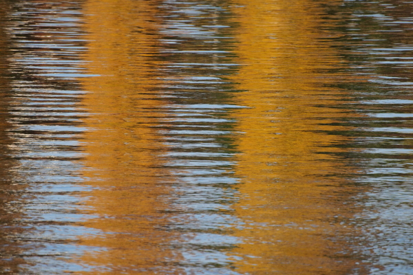 Skaliertes Bild Reflexionen im Rhein_2015_10_25--16-00-19.jpg 