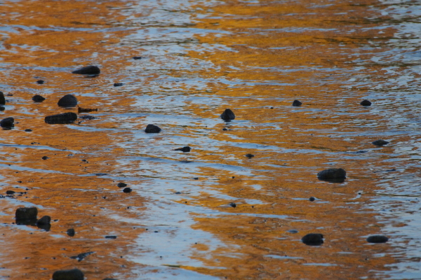 Skaliertes Bild Reflexionen im Rhein_2015_10_25--16-00-29.jpg 