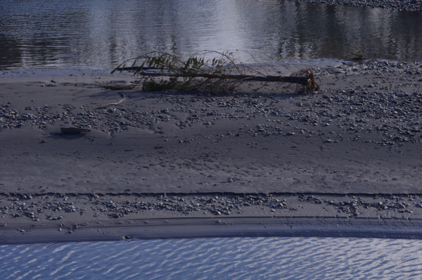 Skaliertes Bild Rhein bei Ruggell mit angeschwemmtem Baum_2013_12_28--10-41-42.jpg 