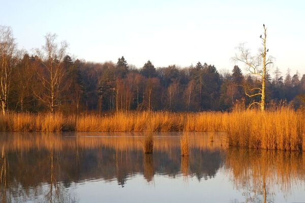 Skaliertes Bild Sonnenaufgang am winterlichen Hausenersee_2007_03_12--08-22-45.jpg 