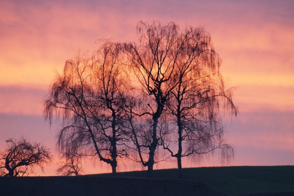 Skaliertes Bild Sonnenuntergang beim Burghof_2015_12_13--16-36-14.jpg 
