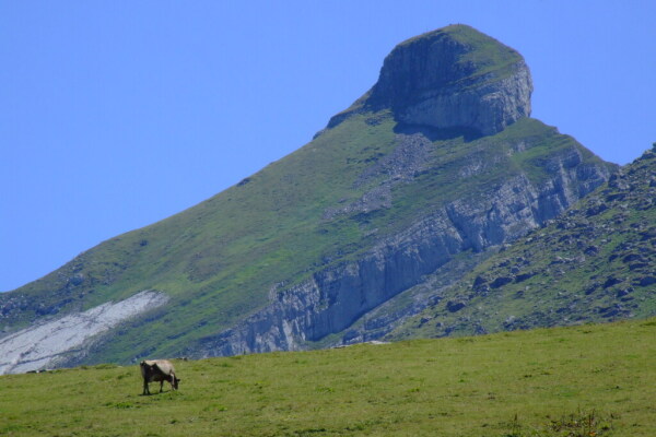 Skaliertes Bild Toggenburg, Churfirsten_2007_08_01--13-23-44.jpg 
