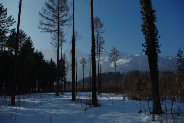 Skaliertes Bild Winterlandschaft_2013_03_03--16-04-59.jpg 