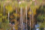 Vorschaubild Herbstliche Reflexionen im Guebsensee_2006_11_04--13-58-51.jpg 