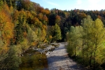 Vorschaubild Sitter bei Wittenbach mit Herbstwald_2006_10_22--16-00-15.jpg 