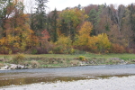 Vorschaubild Thur bei Andelfngen im Herbst_2018_11_02--16-47-31.jpg 