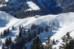 Vorschaubild Winterliche Alp_2010_02_21--10-35-28.jpg 