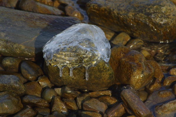 Skaliertes Bild Eisbildung am Bodenseeufer_2012_02_04--10-56-35.jpg 