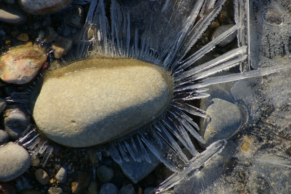Skaliertes Bild Eiskristalle an der Sitter_2008_12_08--12-45-45.jpg 