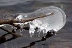 Vorschaubild Eis am Bodensee_2009_01_12--13-55-38.jpg 