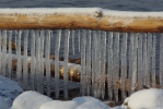 Vorschaubild Eiszapfen am Bodensee_2010_12_16--15-05-30.jpg 