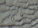 Vorschaubild Muscheln im Sand_2010_02_27--14-38-29.jpg 