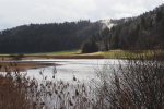 Vorschaubild 2026_02_16--10-41-36.jpg 