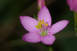Vorschaubild 2005_09_24--15-34-39.jpg 