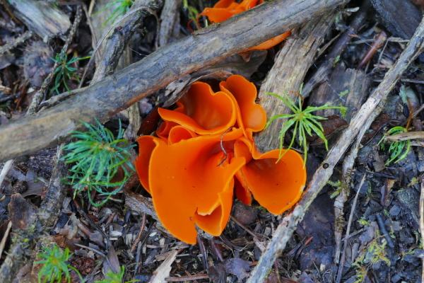 Skaliertes Bild 2019_10_11--11-16-53.jpg 