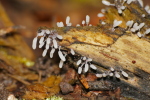 Vorschaubild 2019_10_04--11-00-25.jpg 