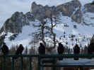 Vorschaubild Corvidae, Pyrrhocorax graculus, Alpendohlen_2008_01_30--15-07-12.jpg 